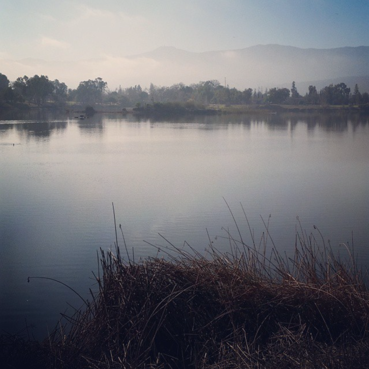  Recent ride around a lake, which was teeming with turtles and birds, but conspicuously devoid of bipeds. 